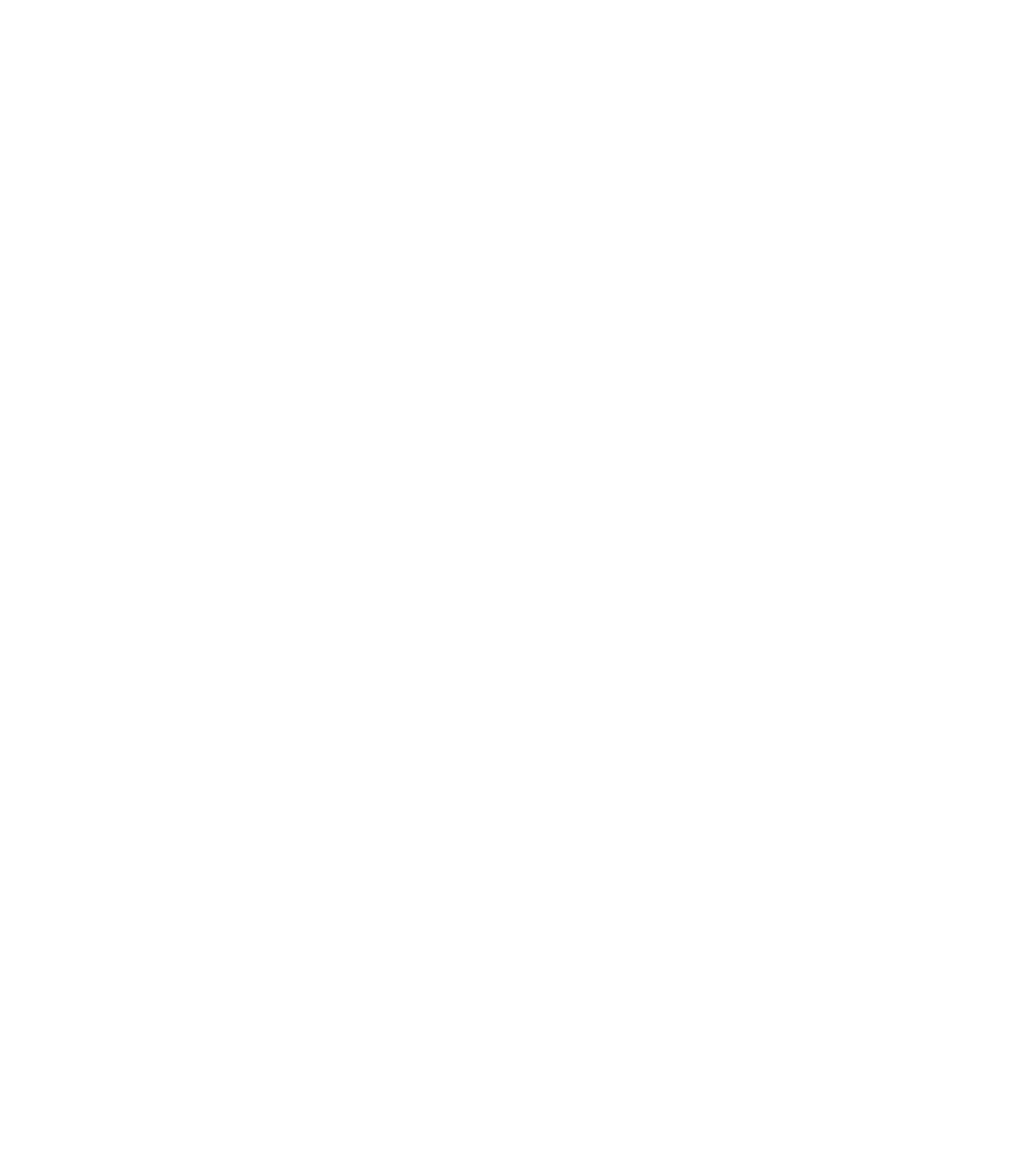 BO Consulting
